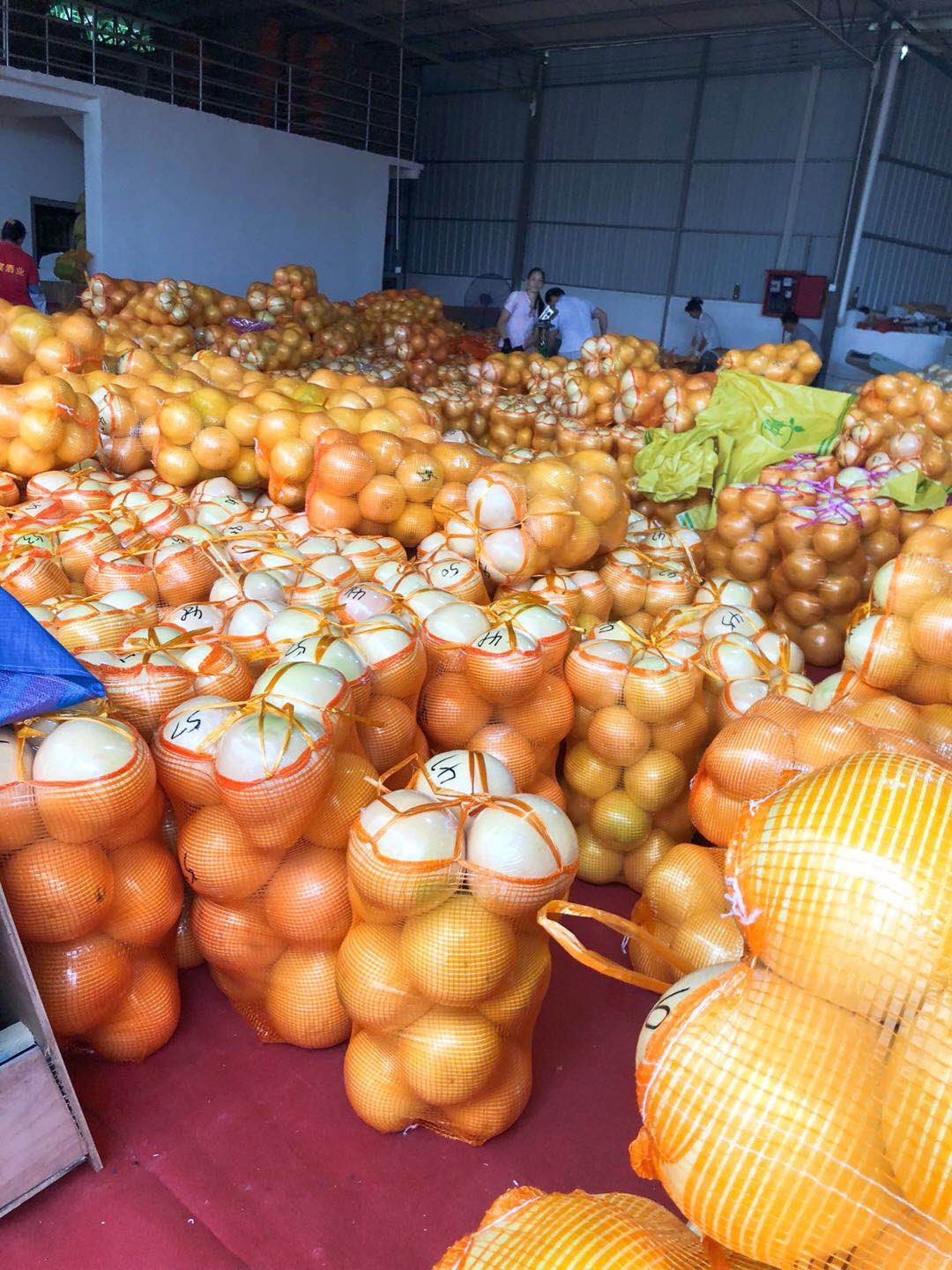 打包好三紅蜜柚