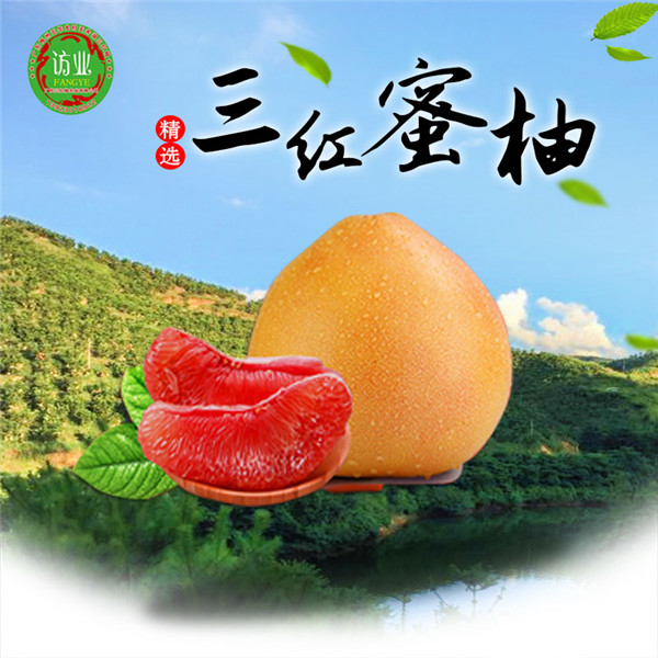 三紅蜜柚