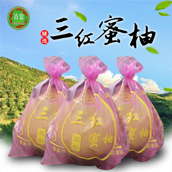 三紅蜜柚禮袋包裝