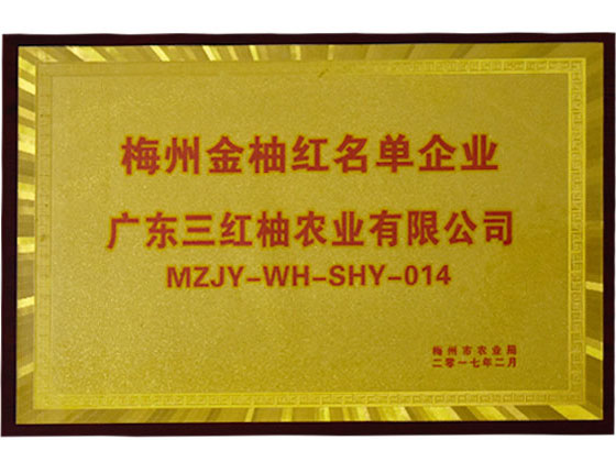 梅州金柚紅名單企業