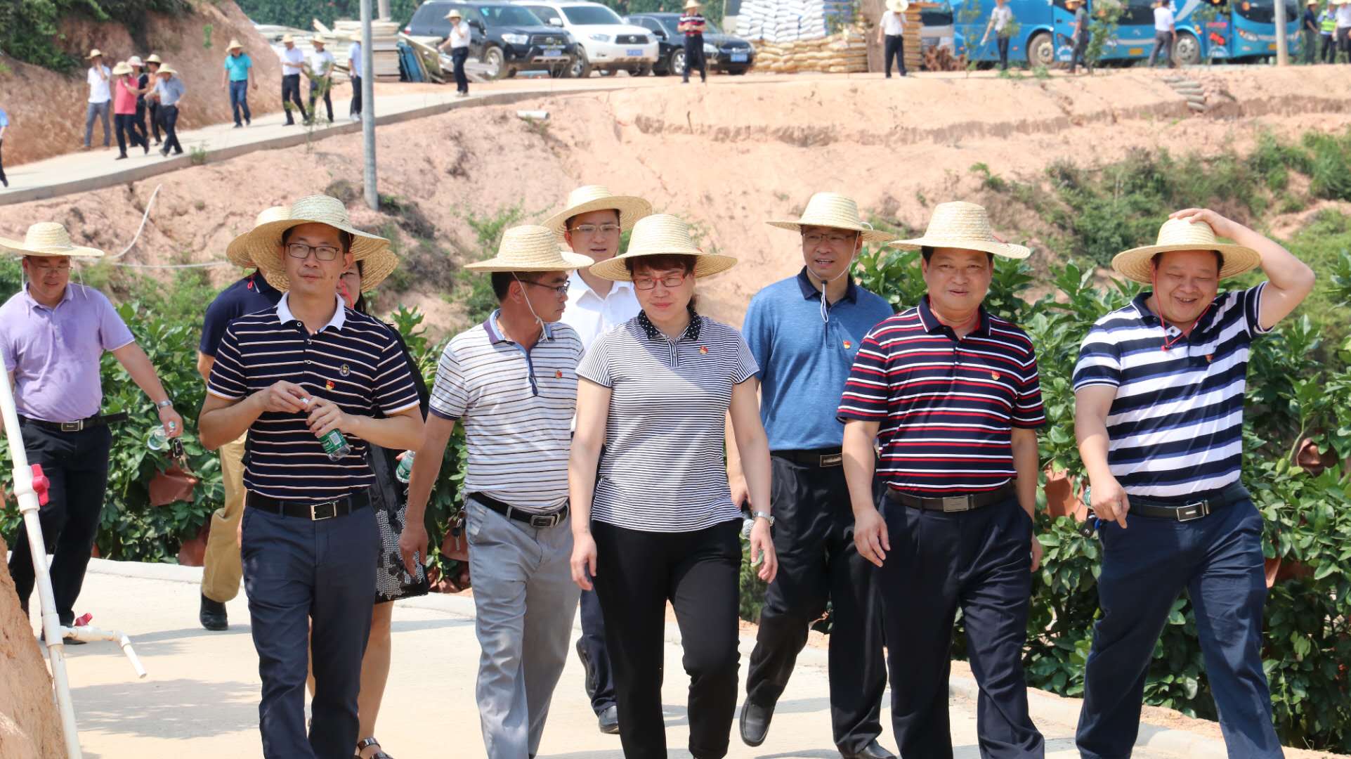 五華縣領導到我司種植基地視察