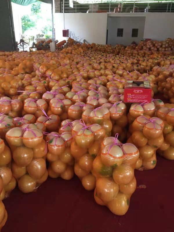 已打包好的三紅柚