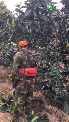 廣東三紅柚農業有限公司